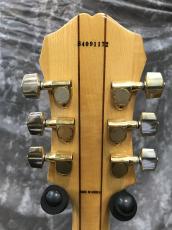 Epiphone Sheraton II Mod_7