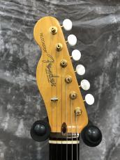 Fender American Professional TL Lefty_6