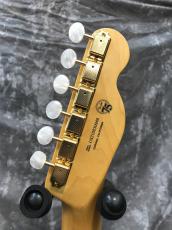 Fender American Professional TL Lefty_7