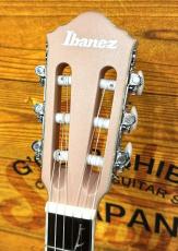 Ibanez 	【NEW】TOD10N-PAF【ティム・ヘンソン氏シグネチャーモデル】【新色パールピンクカラー】_4