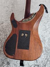 Washburn USA N4 Padauk  「お買い得中古品」_5