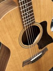 Taylor 【待望の入荷!】Academy 12e_5