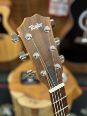 Taylor 【待望の入荷!】Academy 12e_7
