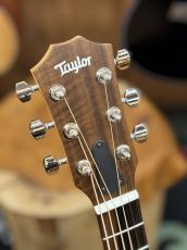 Taylor 【ES2搭載 / ハワイアン・コア 】GS Mini-e  Koa Plus_7