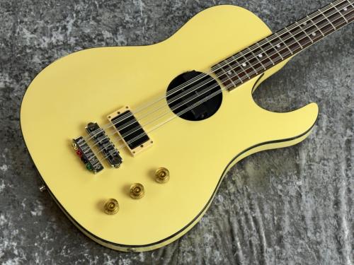 Hamer B12A " 12 String Bass "