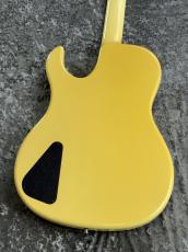 Hamer B12A " 12 String Bass "_6