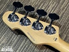 Edwards E-AM-120R【ジャンボフレット&水牛骨ナット交換!】_5