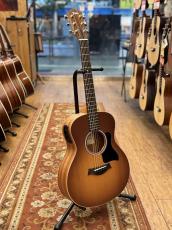 Taylor 【シルバーウィーク&小傷特価 / 限定カラー】GS Mini-e Special Edition Honeyburst_2