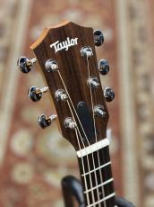 Taylor 【シルバーウィーク&小傷特価 / 限定カラー】GS Mini-e Special Edition Honeyburst_6