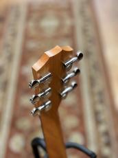 Taylor 【シルバーウィーク&小傷特価 / 限定カラー】GS Mini-e Special Edition Honeyburst_7