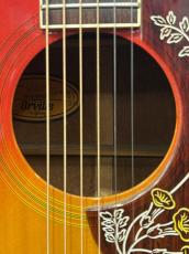 Orville Hummingbird Vintage Cherry Sunburst With Pickup【1991年製中古】_3