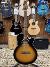 Takamine TSP138C BS #63120079【シンラインボディ】_2