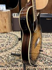 Takamine TSP138C BS #63120079【シンラインボディ】_4