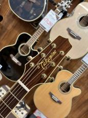 Takamine TSP138C BS #63120079【シンラインボディ】_7