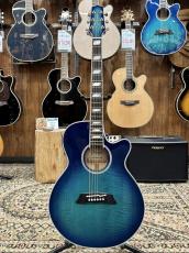 Takamine TSP178AC SBB #63030450【アーチトップ/シンライン】_2