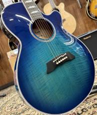 Takamine TSP178AC SBB #63030450【アーチトップ/シンライン】_3