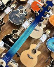 Takamine TSP178AC SBB #63030450【アーチトップ/シンライン】_8