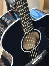 Taylor 【シルバーウィーク&小傷特価! 】214ce Black Plus_5