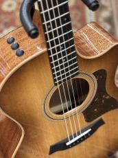 Taylor 【シルバーウィーク&小傷特価! ナローネック仕様】314ce Studio Shaded Edgeburst_5