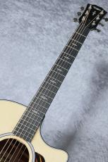 Taylor 【再入荷 ! / 最新仕様!】314ce Next Generation_7