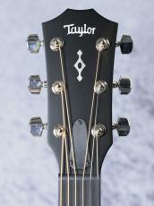 Taylor 【再入荷 ! / 最新仕様!】314ce Next Generation_10