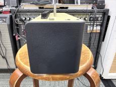 YAMAHA THR10II_5