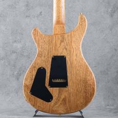 Paul Reed Smith [PRS] Special Semi-Hollow 10Top "Custom Color" 2025 S/N:0407439_5