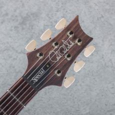 Paul Reed Smith [PRS] Special Semi-Hollow 10Top "Custom Color" 2025 S/N:0407439_8