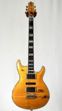 FUJIGEN 【1997年製】GF-MINE -Light Amber-【3.46kg】_2