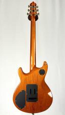 FUJIGEN 【1997年製】GF-MINE -Light Amber-【3.46kg】_4