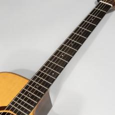 Morris s-101m_7