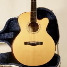 AYERS SJ06E-Ayers SJ06E-CX ESN JP Custom【2019年製】【3A German Maple】【Super Natural PU搭載】【美品】