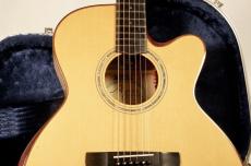 AYERS SJ06E-Ayers SJ06E-CX ESN JP Custom【2019年製】【3A German Maple】【Super Natural PU搭載】【美品】_5