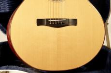 AYERS SJ06E-Ayers SJ06E-CX ESN JP Custom【2019年製】【3A German Maple】【Super Natural PU搭載】【美品】_6