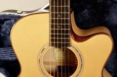 AYERS SJ06E-Ayers SJ06E-CX ESN JP Custom【2019年製】【3A German Maple】【Super Natural PU搭載】【美品】_7