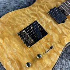 Aria Pro II TEG-780 Natural_5