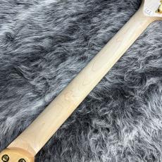 Aria Pro II TEG-780 Natural_7