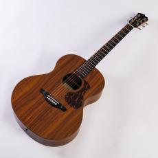 James J-100A MHT アコースティックギター ギグケース付属 マホガニーテイスト