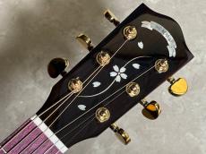 Headway SHOC-SAKURA 霞夜桜 アコースティックギター Japan Tune-up SAKURA_6