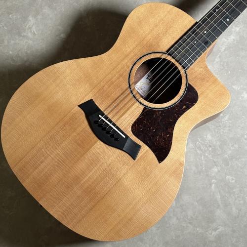 Taylor 14ce