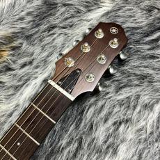 YAMAHA SLG200S TBS_5