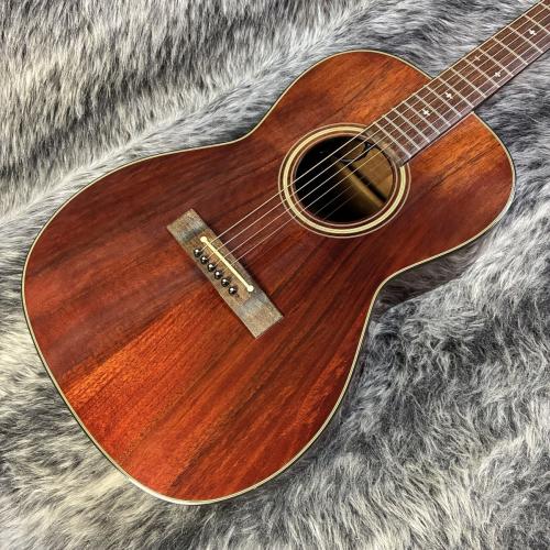 Takamine PT-406