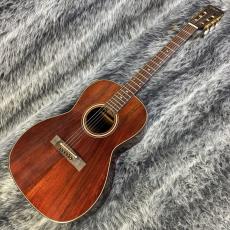 Takamine PT-406_2