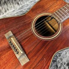 Takamine PT-406_3