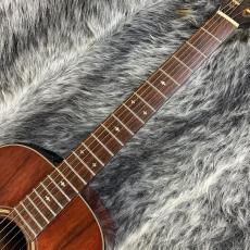 Takamine PT-406_4