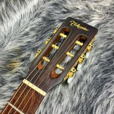 Takamine PT-406_5