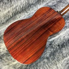 Takamine PT-406_6