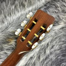 Takamine PT-406_9