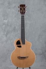 L.Luthier Le Manga C w/EQ Tenor_3
