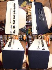 YAMAHA THR-10ⅱ_2